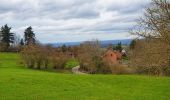 Tour Wandern Beauraing - Balade à Javingue-Sevry - Photo 1