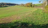 Trail Walking Mazangé - Bonaventure - Moulin de la Loupe - Photo 12