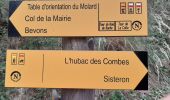 Trail Walking Sisteron - SISTERON.   Le Mollard . Col S Pierre o n  - Photo 3