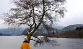 Tocht Stappen Xonrupt-Longemer - Le tour du lac de longemer  - Photo 12