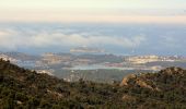 Trail Walking Six-Fours-les-Plages - Cap Sicié - Notre Dame du Mai - Six fours - Photo 10