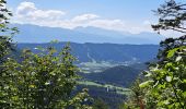 Randonnée Marche Sarcenas - la Pinéa du col de Portes - Photo 11