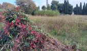 Tour Wandern Argelès-sur-Mer - en attendant mes pneus  - Photo 19