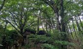 Randonnée Marche Lauroux - les corniches de Lauroux - Photo 13