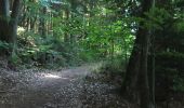 Tour Wandern Schnierlach - La tour du Faudé - Les Alisiers - Photo 11