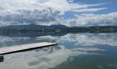 Randonnée Marche Seekirchen am Wallersee - Le tour du Wallersee - Photo 15