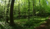 Randonnée V.T.T. La Hulpe - VTT sur la forêt de soignes - Photo 6