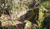 Tour Wandern Méounes-lès-Montrieux - Gouffre de Signoret - Méounes - Photo 6