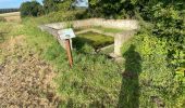 Tour Wandern Fère-en-Tardenois - Reco Villemoyenne Pat 27-08-24 - Photo 3