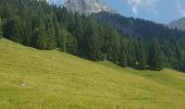 Percorso Marcia La Clusaz - Autour de Les Confins - Photo 12