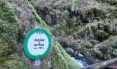 Trail Walking Rochesson - cascade de Battion  - Photo 11