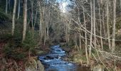 Tour Wandern Malmedy - xhoffray .reinhardstein . carrière de la wache  . xhoffray  - Photo 17