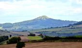 Tour Wandern Solignat - Solignat_Puy_Ysson - Photo 1