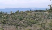 Excursión Senderismo Roquebrune-sur-Argens - Roquebrune - monastère de Notre Dame de pitié  - Photo 12