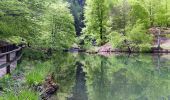 Trail Walking Bethmale - Etang de Bethmale - Photo 5
