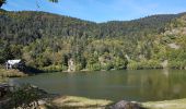 Trail Walking Saint-Maurice-sur-Moselle - Rouge Gazon - Lacs des Perches et du Neuweiher - Col des Charbonniers  - Photo 14