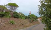 Excursión Senderismo Port-Vendres - anse des paulliles - cap bear via les vignes retour par le chemin côtier - Photo 18