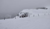 Tour Schneeschuhwandern Bouvante - fond'hurle - Photo 2