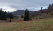 Trail Walking La Chapelle-en-Vercors - Serre Plumé  - Photo 7