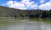 Tour Wandern Urbeis - Col du Wettstein - Hautes-Huttes - Lac du Forlet - Lac Vert - Photo 3