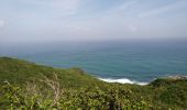 Trail Walking La Trinité - Presqu'île de la Caravelle 🌡️ - Photo 17