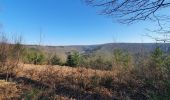 Trail Walking Florenville - rando herbeumont 8-03-2022 - Photo 10