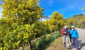Trail Walking Mandelieu-la-Napoule - taneron - Photo 1