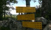 Trail Walking Villefort - Lac Villefort la Garde Guerin, lac de Villefort.(31-05-2020) - Photo 20