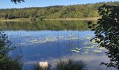 Tour Wandern Le Frasnois - La Fromagerie  - Photo 5