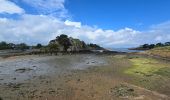 Tour Wandern Île-de-Bréhat - Brehat - Photo 13