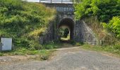 Randonnée Marche Mettray - Mettray - Sentier de la Grotte aux Fées  - Photo 19