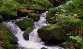 Tour Wandern Gerdsee - gerardmer saut de la bourrique cascade merel - Photo 4