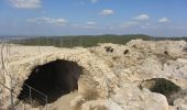 Tour Zu Fuß Regionalverwaltung Mateh Jehuda - לעין מטע - Photo 1