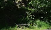 Trail Walking Pontgibaud - LA CHEIRE DE PONTGIBAUD - Photo 10