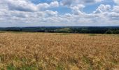 Trail Walking Ciney - Chevetogne 280622 - Photo 9