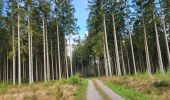 Trail Walking Manhay - Dochamps 240924 - Photo 14