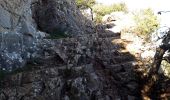 Trail Walking Camps-la-Source - St Quinis-Camps-la-source-10-02-21 - Photo 10