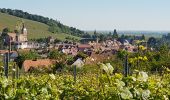 Tour Wandern Mittelbergheim - BARR - LES 3 CHATEAUX (LANDSBERG- SPESBOURG -ANDLAU) - Photo 14
