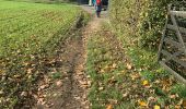 Trail Walking Lebbeke - 20221022 WSV Denderklokjes  - Photo 3