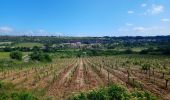 Tocht Stappen Minerve - arsel 21/05/19 minerve - Photo 1