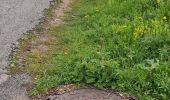 Tocht Stappen Autrans-Méaudre en Vercors - autrans - Photo 3