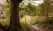 Percorso A piedi South Lakeland - Carron Crag Trail - Photo 4