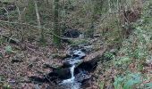 Randonnée Marche Houffalize - Engreux 021122 - Photo 4