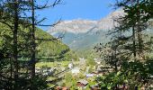 Tocht Stappen Les Houches - J21 - R20 - La Fontaine - La Tour St Michel - Photo 14