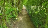 Trail Walking Chimay - Scourmont 070623 - Photo 13