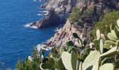 Trail Walking Tossa de Mar - Wikiloc - Tossa de Mar à plage llevadó - Photo 1