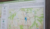 Tour Wandern Le Cannet-des-Maures - Autour de 