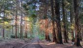 Trail Walking Spa - tour des 10 sources  - Photo 13