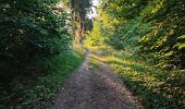 Trail Walking Étalle - Chantemelle la tranchée des portes - Photo 1
