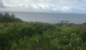 Trail Nordic walking Sainte-Anne - Fond grand ma  modette le littoral  - Photo 18